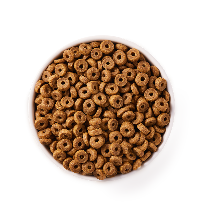 Organic Adult Dry Cat Food with Chicken | Yarrah